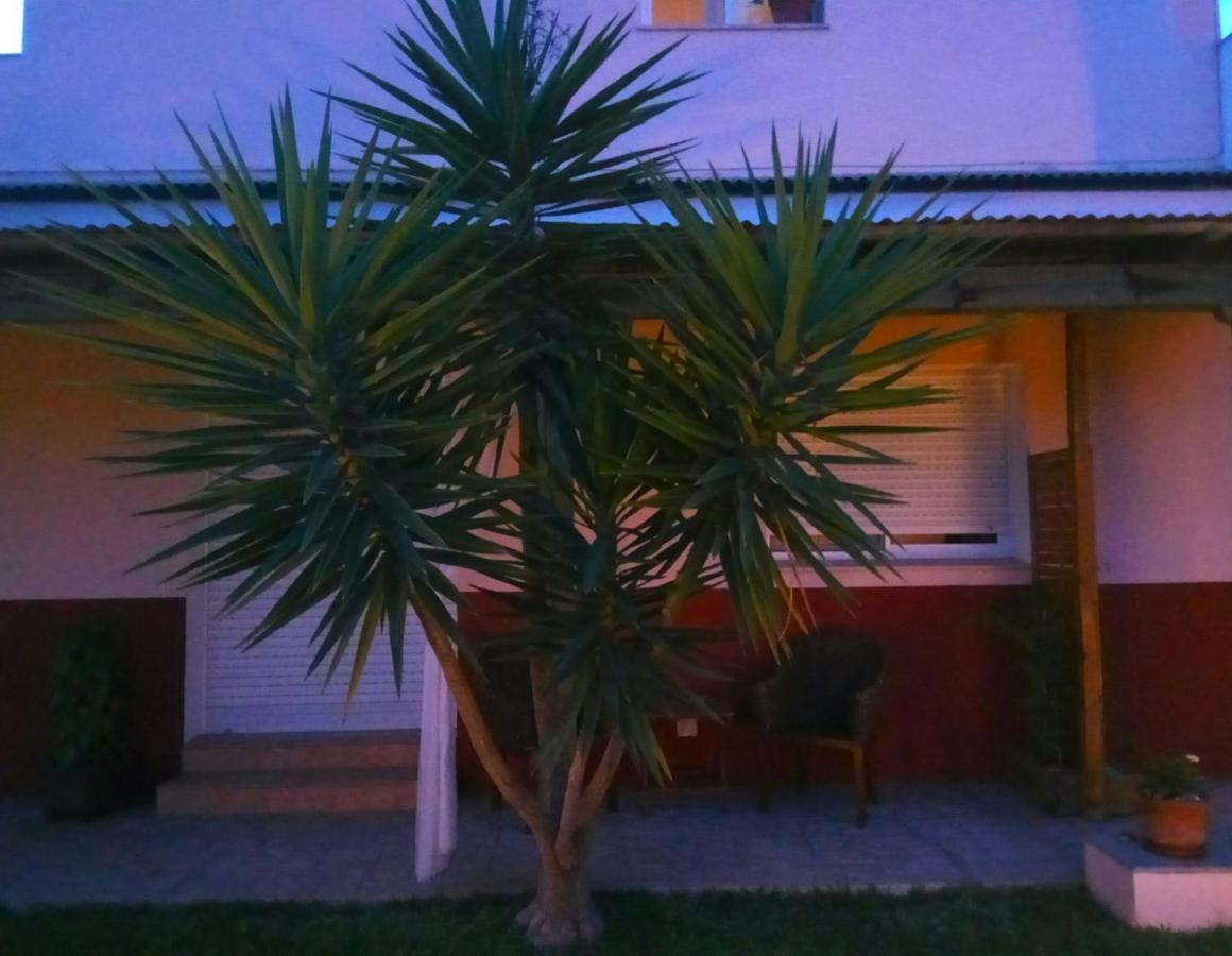Casablanca El Petit Hotel Deltebre Eksteriør billede
