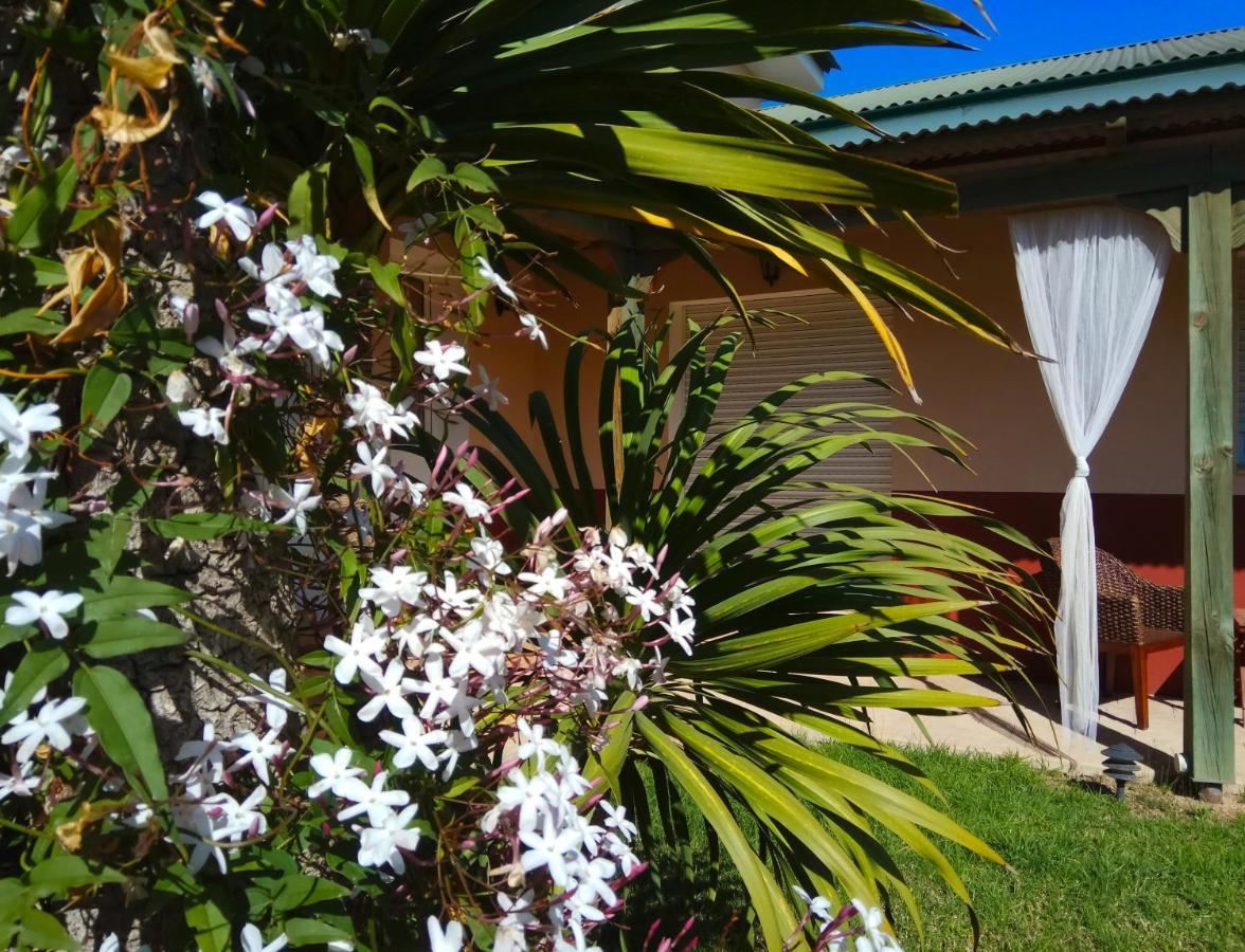 Casablanca El Petit Hotel Deltebre Eksteriør billede